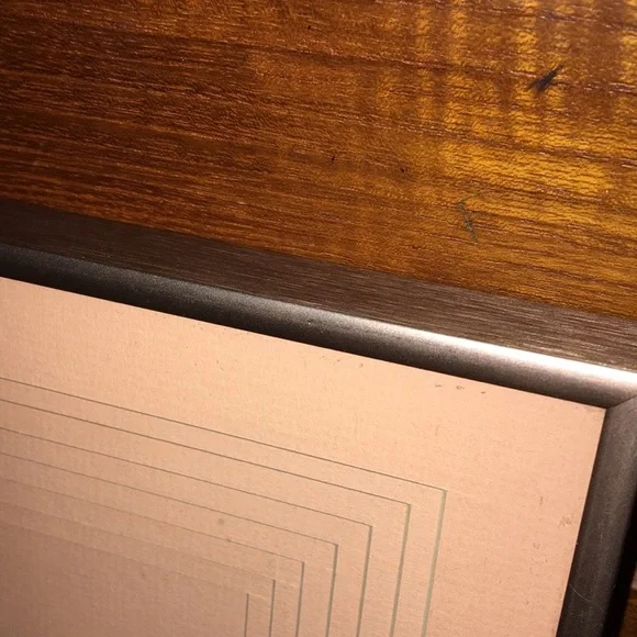 Vintage Framed Sand Dollars & Dried Flower Wall Art in a Pink Metal Frame - Picture 14 of 17